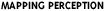 mapping perception