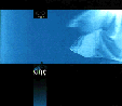 COIL 1